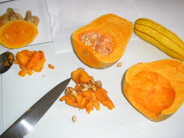 Preparation: extracting the seeds