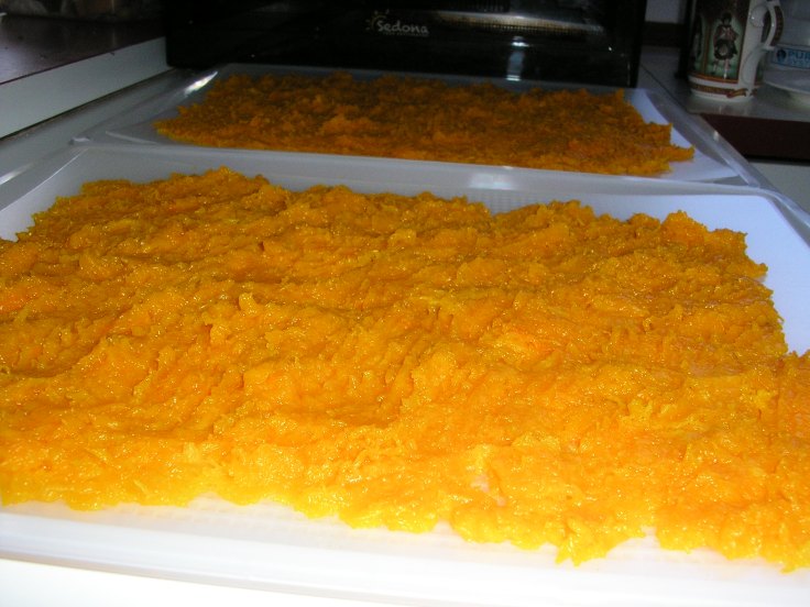 Puréed pumpkin ready for drying