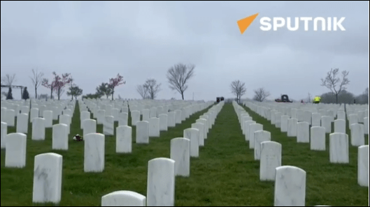 mercenary scum
weep not for mercenaries
